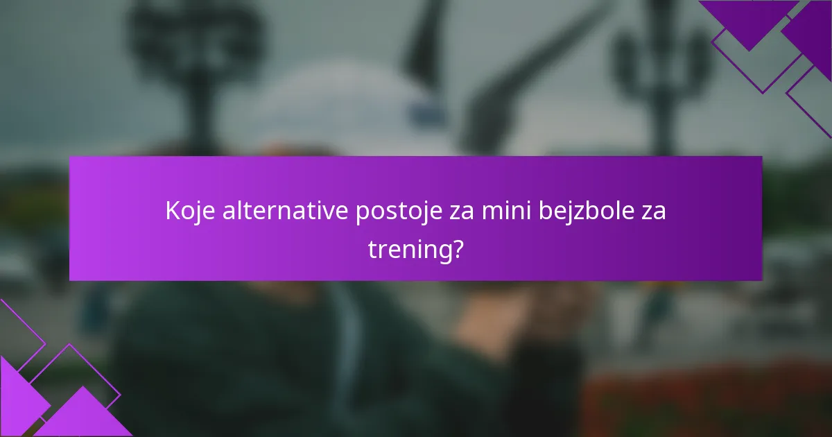 Koje alternative postoje za mini bejzbole za trening?